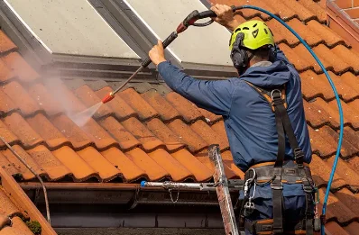 Démoussage et hydrofuge de toiture à Locoal-Mendon